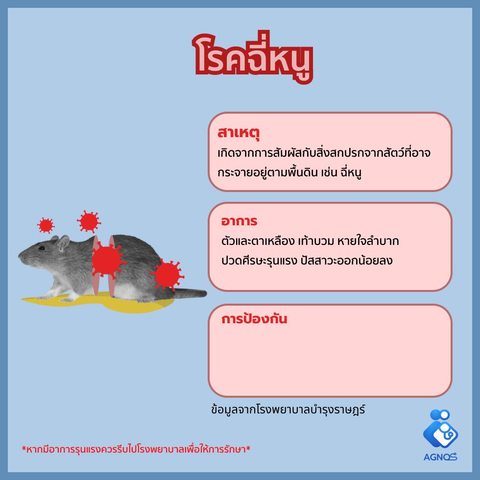 โรคฉี่หนู