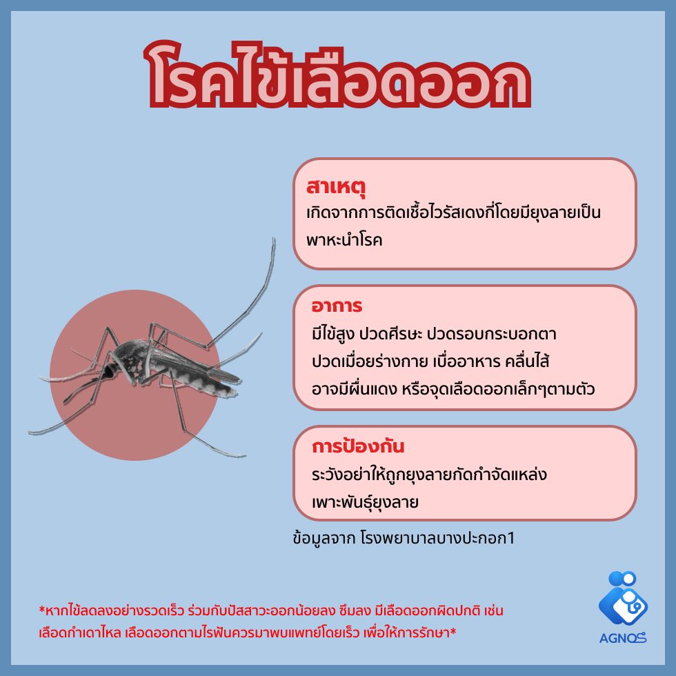 โรคไข้เลือดออก
