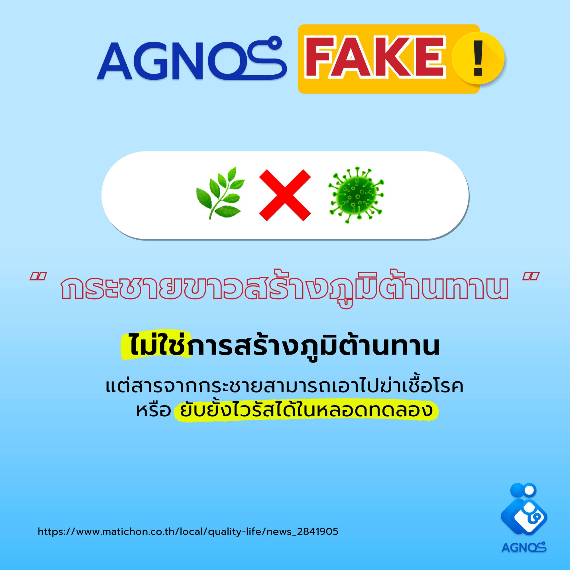 กระชายขาวสร้างภูมิต้านทาน