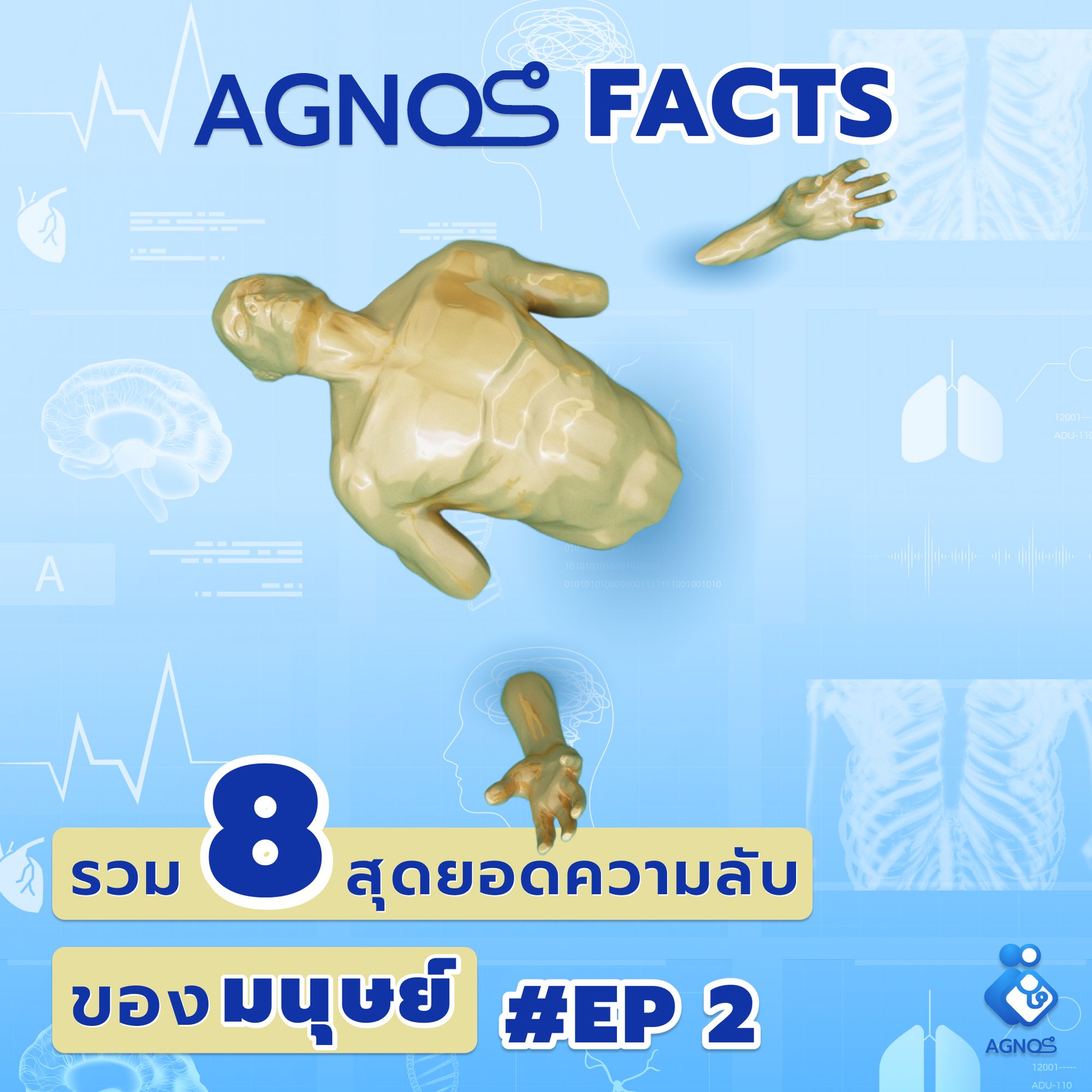 AGNOS FACTS EP.2