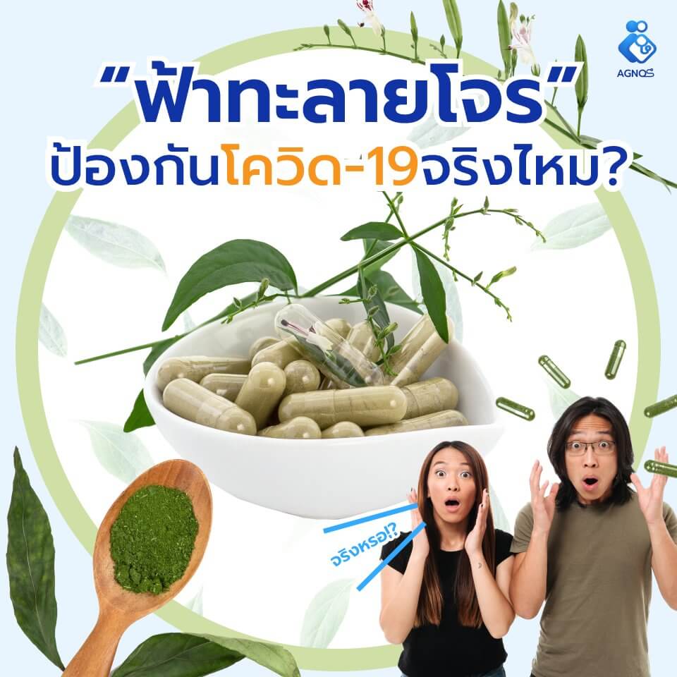 ป้องกันโควิด จริงไหม ฟ้าทะลายโจร
