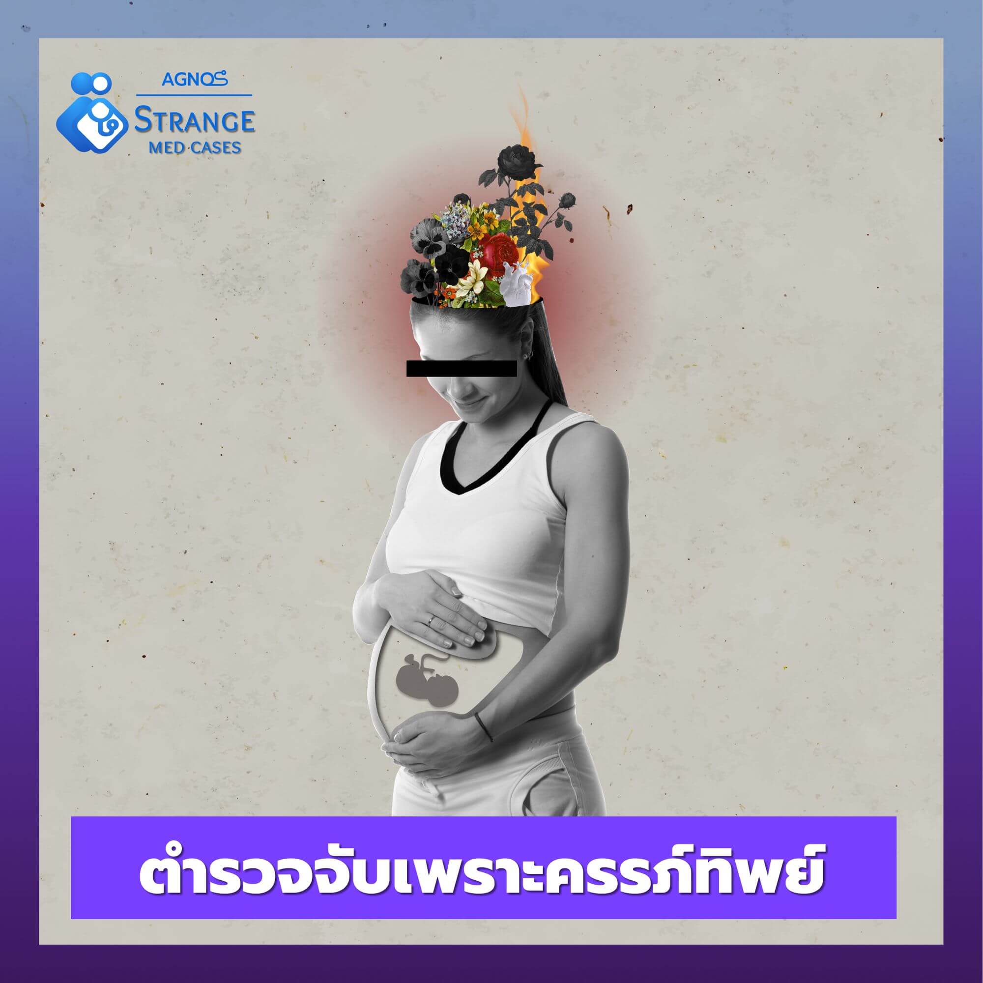 ตำรวจจับเพราะครรภ์ทิพย์