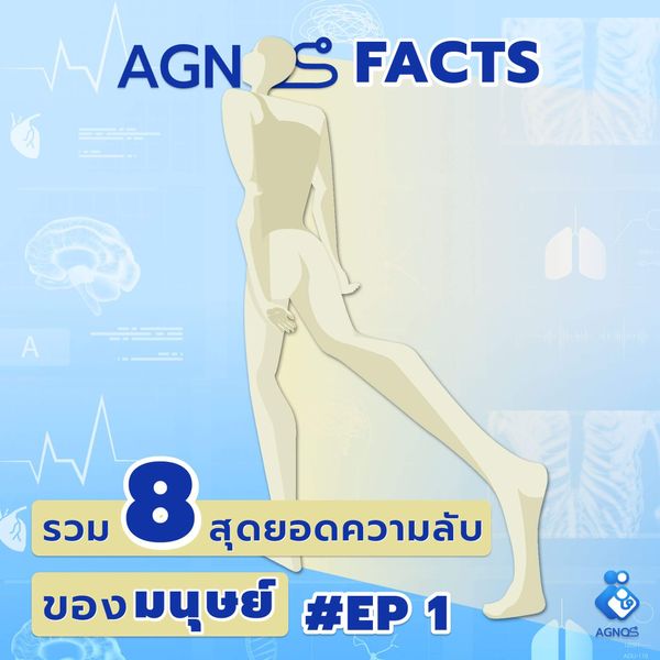 AGNOS FACTS EP.1