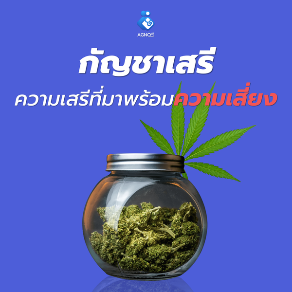กัญชาเสรี ความเสรี ที่มาพร้อมกับความเสี่ยง
