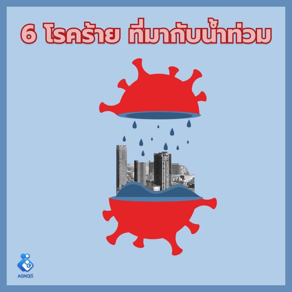 6 โรค ร้ายที่มากับ น้ำท่วม