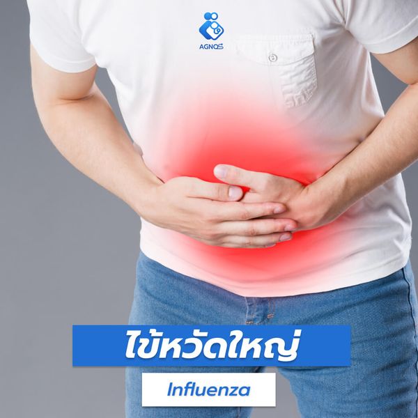 ไข้หวัดใหญ่ (Influenza)