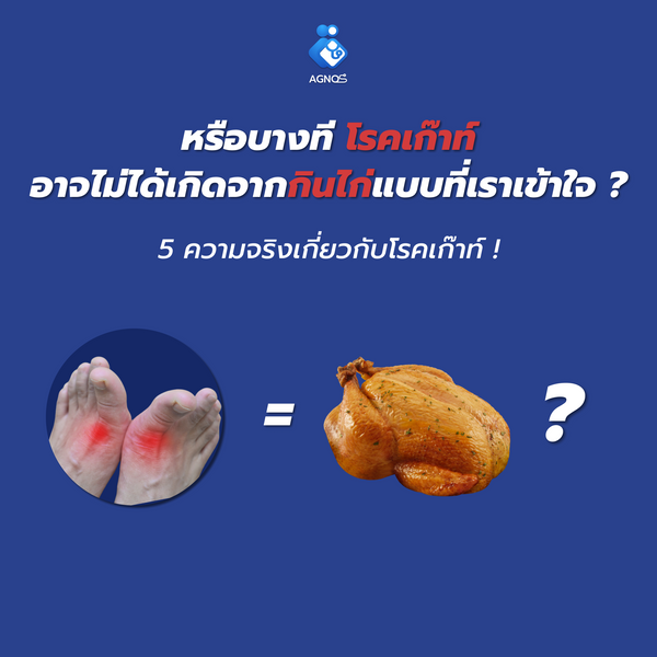 หรือบางที โรคเก๊าท์ อาจไม่ได้เกิดจากกินไก่แบบที่เราเข้าใจ ?